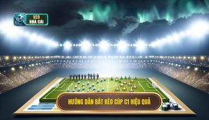 Hướng dẫn bắt kèo Cúp C1 hiệu quả