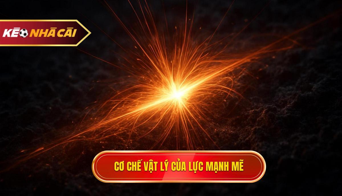 Kỹ thuật sút bóng bằng đầu ngón chân: Tuyệt chiêu tạo ra cú sút bất ngờ 3 Cơ chế vật lý đằng sau lực sút phi thường