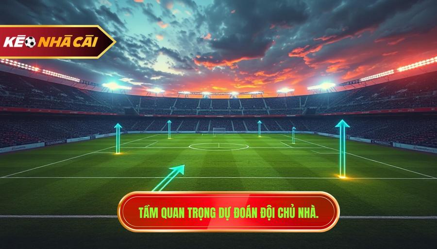 Tại sao việc dự đoán đội chủ nhà chiếm ưu thế lại quan trọng?