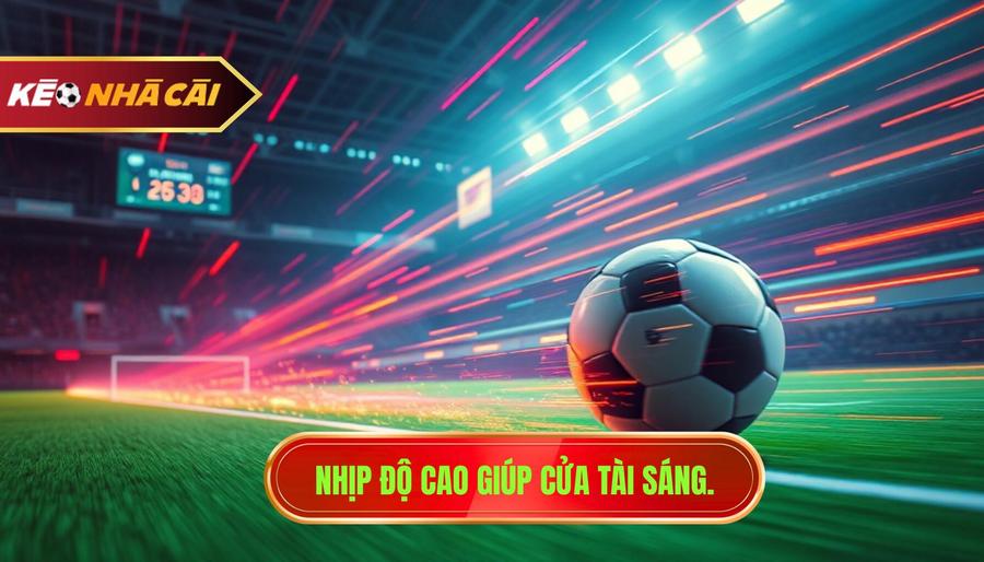 Tại sao nhịp độ cao kéo theo cửa Tài sáng? Phân tích đa chiều