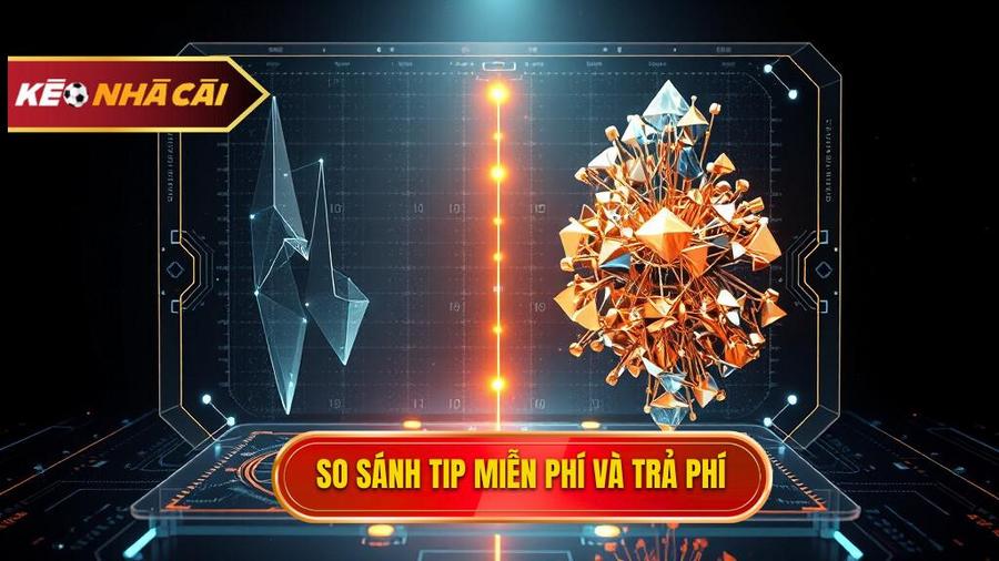 Phân tích đa chiều: Sự khác biệt giữa Tip miễn phí và Tip trả phí