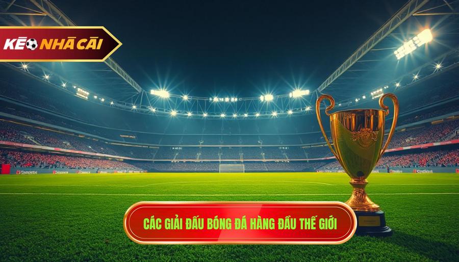 Các giải đấu hàng đầu không thể bỏ qua khi theo dõi bóng đá 24h